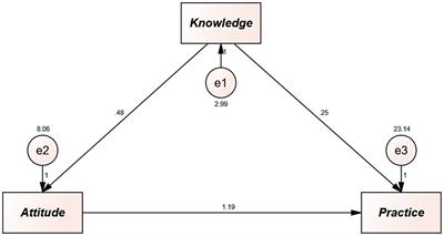 Knowledge, attitudes, and practices among patients with anemia towards disease management